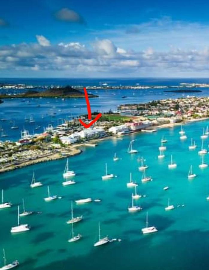 Superbe Studio Dolce Vita Vue Mer Plage Piscine Marigot  Eksteriør billede